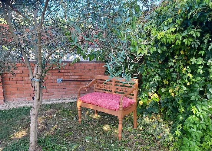 Piscina De Sal Barbacoa Wifi, Parking Gratis, 3 Min Pga Casa El Roble