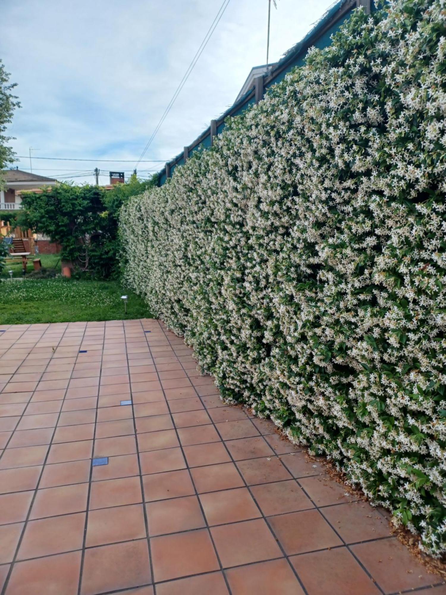Piscina De Sal Barbacoa Wifi, Parking Gratis, 3 Min Pga Casa El Roble